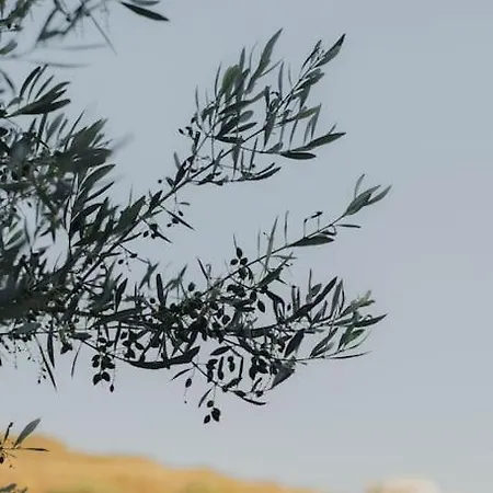 Countryside I Naxos * Naxos City